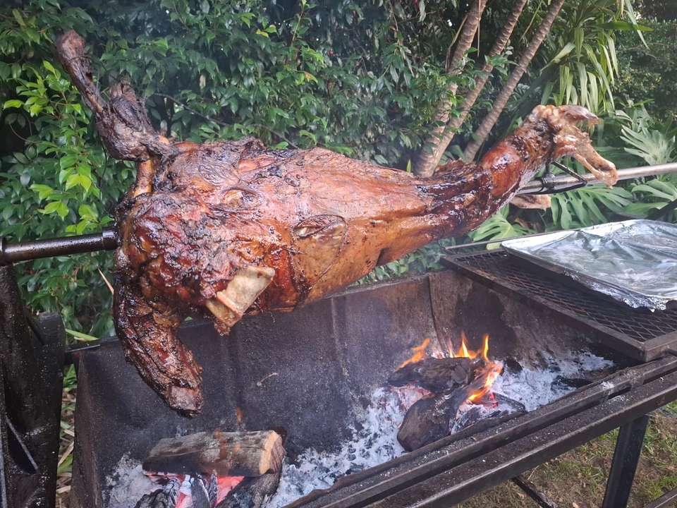 lambtuna_0014